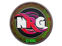 Sticker | NRG (Holo) | Katowice 2019