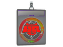 Sticker Slab | HellRaisers (Holo) | Katowice 2019