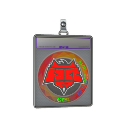 Sticker Slab | HellRaisers (Holo) | Katowice 2019