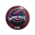 Sticker | Winstrike Team | Katowice 2019