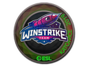 Sticker | Winstrike Team (Holo) | Katowice 2019