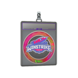 Sticker Slab | Winstrike Team (Holo) | Katowice 2019