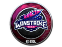 Sticker | Winstrike Team (Foil) | Katowice 2019