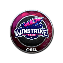 Winstrike Team (металлическая) | Катовице-2019