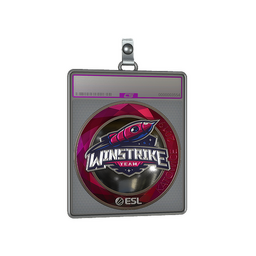Sticker Slab | Winstrike Team (Foil) | Katowice 2019