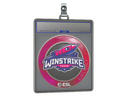 Sticker Slab | Winstrike Team | Katowice 2019