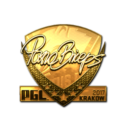 pashaBiceps (Gold) | Krakow 2017