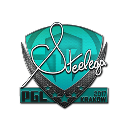 steel | Краков-2017