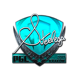 steel (металлическая) | Краков-2017