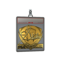 Sticker Slab | steel (Gold) | Krakow 2017