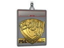 Sticker Slab | bodyy (Gold) | Krakow 2017