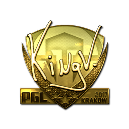kNgV- (Gold) | Krakow 2017