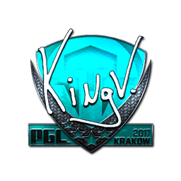 kNgV- (металлическая) | Краков-2017