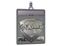 Sticker Slab | FalleN (Foil) | Krakow 2017