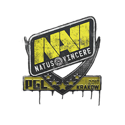 Natus Vincere | Krakow 2017