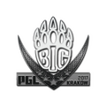 Sticker | BIG | Krakow 2017