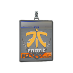 Sticker Slab | Fnatic | Krakow 2017