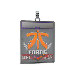 Sticker Slab | Fnatic (Holo) | Krakow 2017