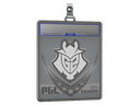Sticker Slab | G2 Esports | Krakow 2017
