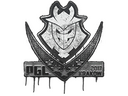 Sealed Graffiti | G2 Esports | Krakow 2017