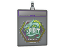 Sticker Slab | Team Spirit (Holo) | London 2018
