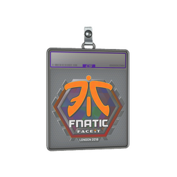 Sticker Slab | Fnatic (Holo) | London 2018