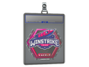 Sticker Slab | Winstrike Team | London 2018