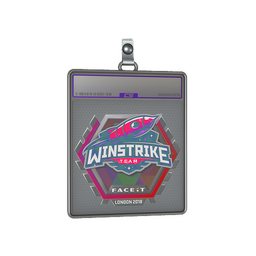 Sticker Slab | Winstrike Team (Holo) | London 2018