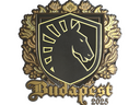 Sticker | Team Liquid (Gold) | Budapest 2025