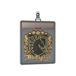 Sticker Slab | Team Liquid (Gold) | Budapest 2025