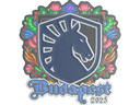 Sticker | Team Liquid (Embroidered) | Budapest 2025