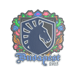 Team Liquid (Embroidered) | Budapest 2025