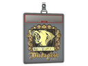 Sticker Slab | Lynn Vision (Gold) | Budapest 2025