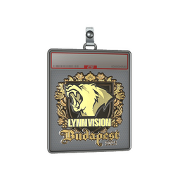 Sticker Slab | Lynn Vision (Gold) | Budapest 2025