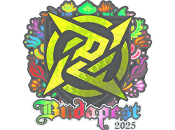 Sticker | Ninjas in Pyjamas (Holo) | Budapest 2025