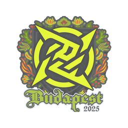 Ninjas in Pyjamas | Budapest 2025