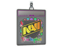 Sticker Slab | Natus Vincere (Holo) | Budapest 2025