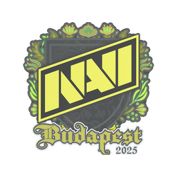 Natus Vincere | Budapest 2025