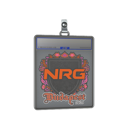 Sticker Slab | NRG | Budapest 2025