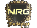 Sticker | NRG (Gold) | Budapest 2025