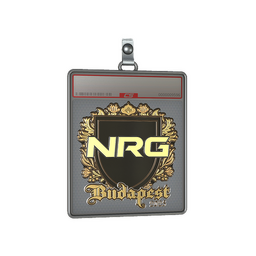 Sticker Slab | NRG (Gold) | Budapest 2025