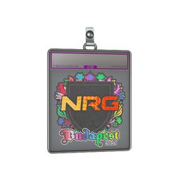 Sticker Slab | NRG (Holo) | Budapest 2025