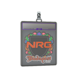 Sticker Slab | NRG (Embroidered) | Budapest 2025