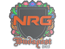 Sticker | NRG (Embroidered) | Budapest 2025