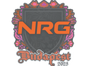 Sticker | NRG | Budapest 2025