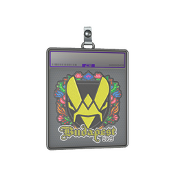Sticker Slab | Vitality (Embroidered) | Budapest 2025