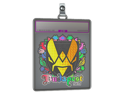 Sticker Slab | Vitality (Holo) | Budapest 2025