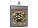 Sticker Slab | 910 (Gold) | Budapest 2025