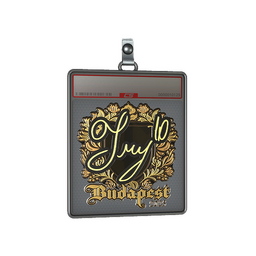 Sticker Slab | TRY (Gold) | Budapest 2025