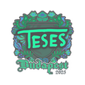 Sticker | TeSeS | Budapest 2025
